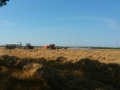 IMG-20150806-WA0005