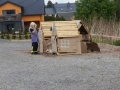 DSCN1482
